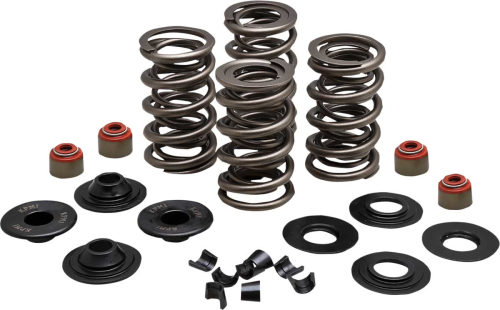 Kibblewhite Precision - Kibblewhite Precision Racing Valve Spring Kit - .650in. Lift - 20-23500