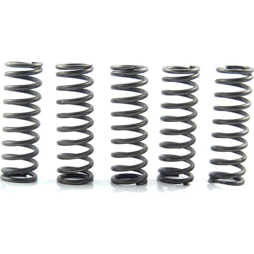 EBC - EBC CSK Clutch Spring Kit - CSK124