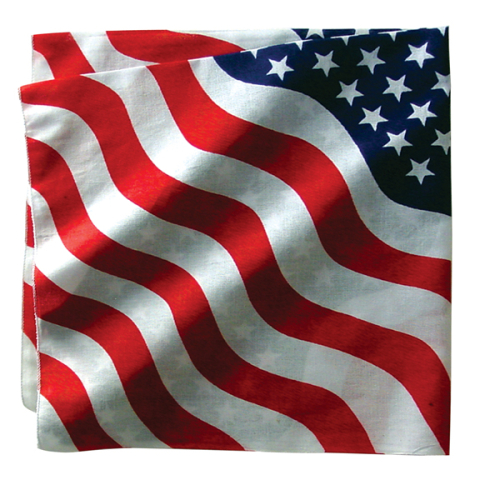 Zan Headgear - Zan Headgear Bandanna - B005 - Wavy US Flag - OSFM