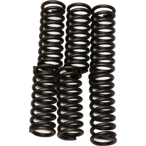 EBC - EBC CSK Clutch Spring Kit - CSK27