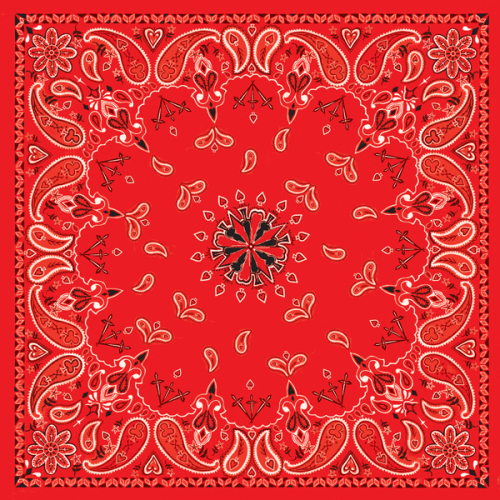 Zan Headgear - Zan Headgear Bandanna - B003 - Paisley Red - OSFM