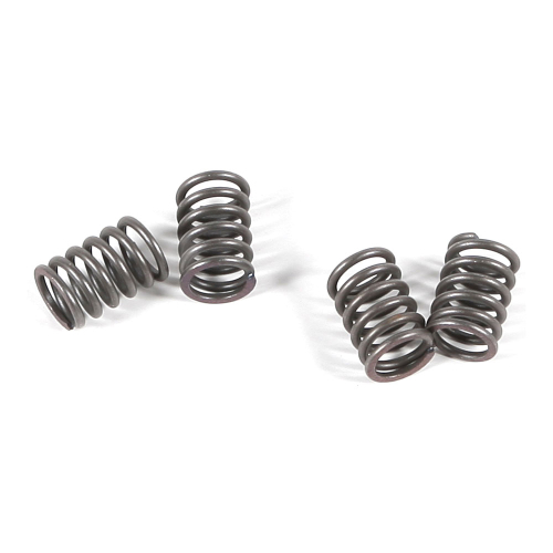 EBC - EBC CSK Clutch Spring Kit - CSK48