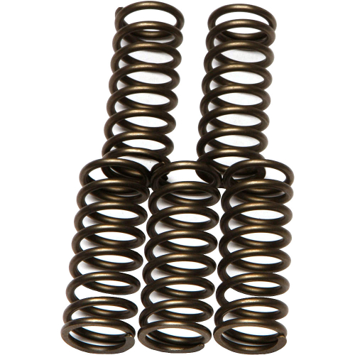 EBC - EBC CSK Clutch Spring Kit - CSK180