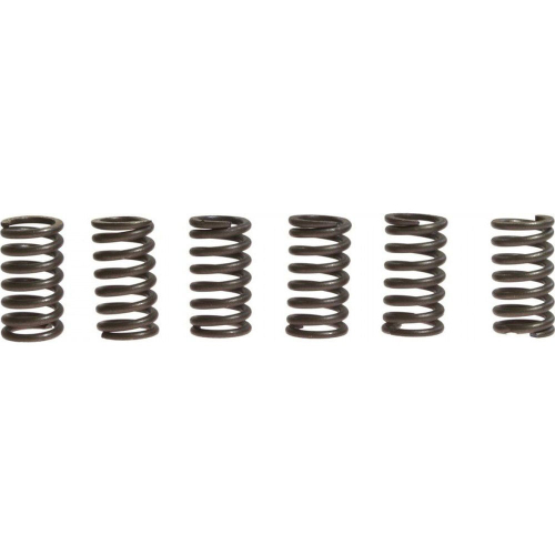 EBC - EBC CSK Clutch Spring Kit - CSK31