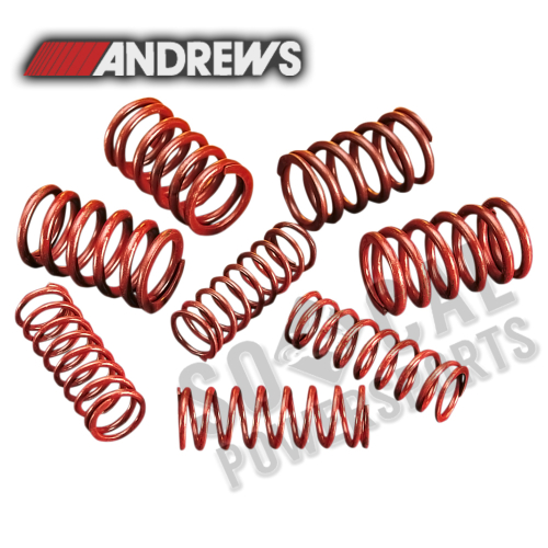 Andrews - Andrews .550in. Lift Valve Springs - 294150