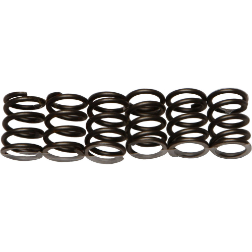 EBC - EBC CSK Clutch Spring Kit - CSK19