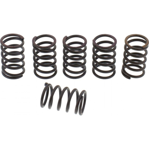 EBC - EBC CSK Clutch Spring Kit - CSK18