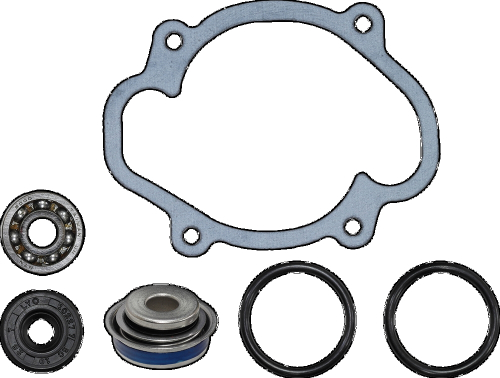 SP1 - SP1 Water Pump Repair Kit - SM-10103