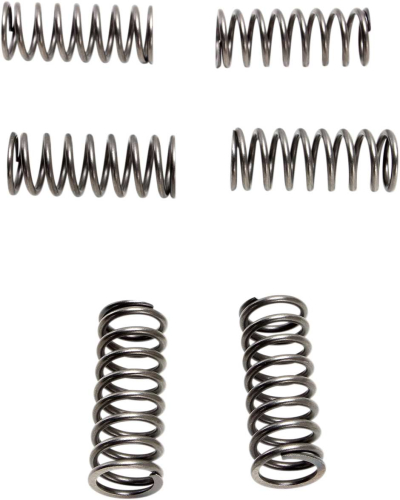 EBC - EBC CSK Clutch Spring Kit - CSK198