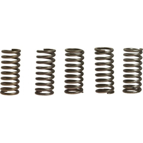 EBC - EBC CSK Clutch Spring Kit - CSK33