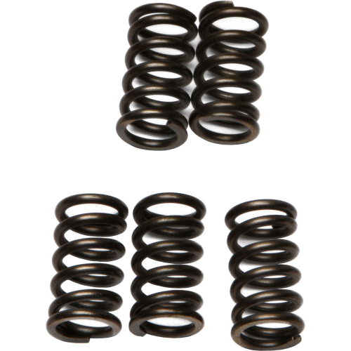 EBC - EBC CSK Clutch Spring Kit - CSK78