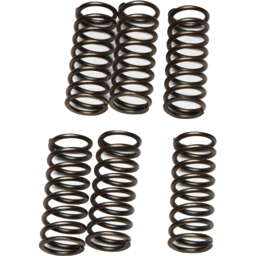 EBC - EBC CSK Clutch Spring Kit - CSK79