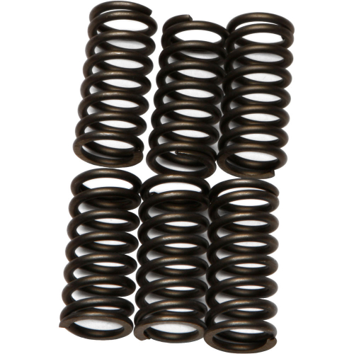 EBC - EBC CSK Clutch Spring Kit - CSK80