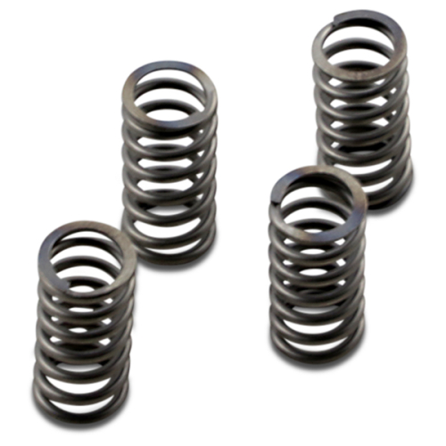 EBC - EBC CSK Clutch Spring Kit - CSK233