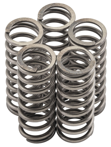 EBC - EBC CSK Clutch Spring Kit - CSK247