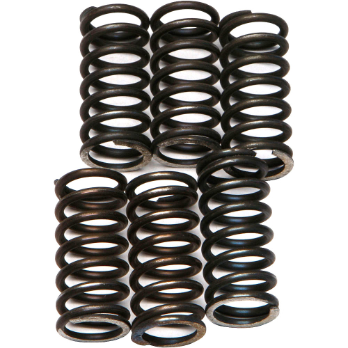 EBC - EBC CSK Clutch Spring Kit - CSK200