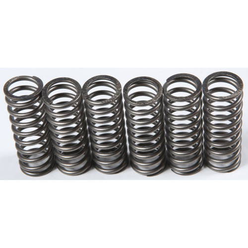 EBC - EBC CSK Clutch Spring Kit - CSK201