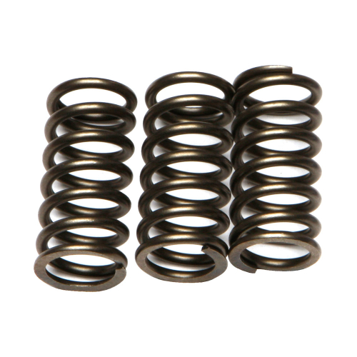 EBC - EBC CSK Clutch Spring Kit - CSK203