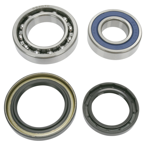 All Balls - All Balls Wheel Bearing and Seal Kit - 25-1018