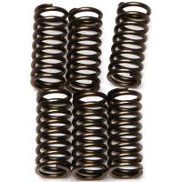 EBC - EBC CSK Clutch Spring Kit - CSK144 - Image 1