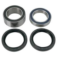 All Balls - All Balls Carrier Bearing snd Seal Kit - 25-1620 - Image 1