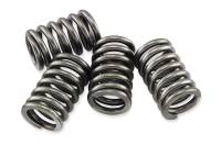 EBC - EBC CSK Clutch Spring Kit - CSK170 - Image 1