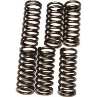 EBC - EBC CSK Clutch Spring Kit - CSK196 - Image 1