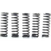 EBC - EBC CSK Clutch Spring Kit - CSK124 - Image 1