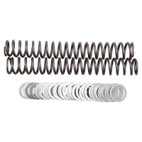 Race Tech - Race Tech Fork Springs - .95 kg/mm - FRSP S3827095 - Image 1