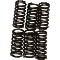 EBC - EBC CSK Clutch Spring Kit - CSK80 - Image 1