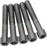 Drag Specialties - Drag Specialties Coarse-Thread Socket-Head Bolts - 7/16in. x 2 3/4in. - MPB727S - Image 1