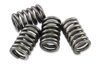 EBC - EBC CSK Clutch Spring Kit - CSK240 - Image 1